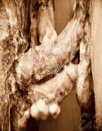 Pedro Amigo  Mature Male Escort In Victoria